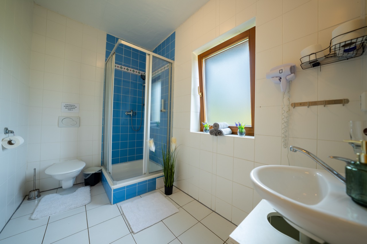 Apartmán Pramen, fotografie 11