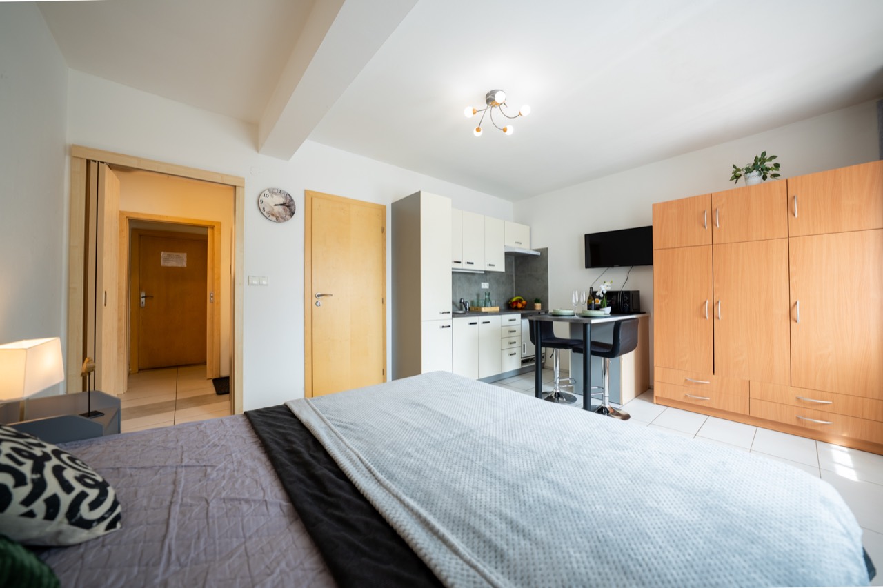 Apartmán Sněžník, fotografie 4