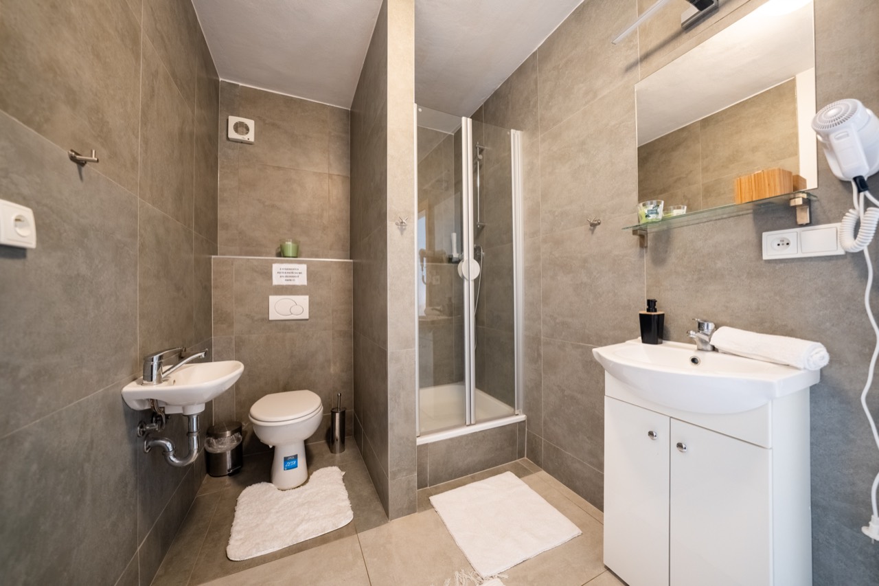 Apartmán Sněžník, fotografie 9